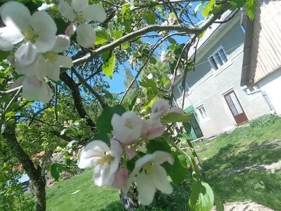 Oda, 1 Yatak Odası, Sıcak Su Havuzu