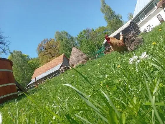 Oda, 1 Yatak Odası, Sıcak Su Havuzu