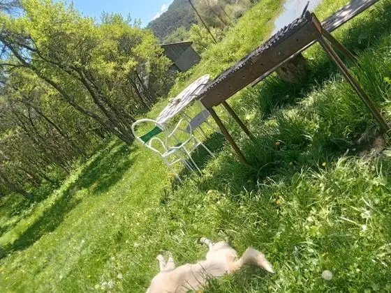 Oda, 1 Yatak Odası, Sıcak Su Havuzu