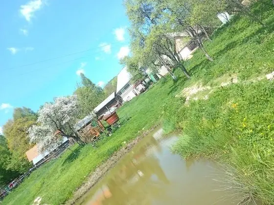 Oda, 1 Yatak Odası, Sıcak Su Havuzu