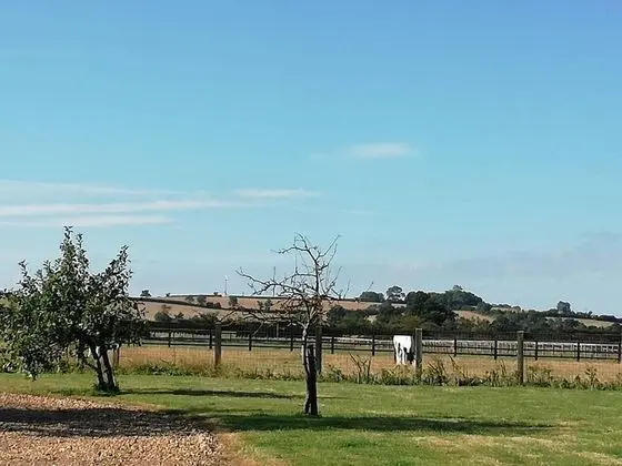 Apart Daire, 1 Büyük (Queen) Boy Yatak