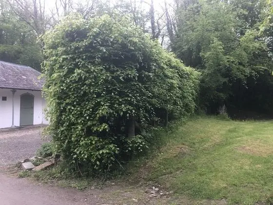 Apart Daire, 1 Yatak Odası, Veranda