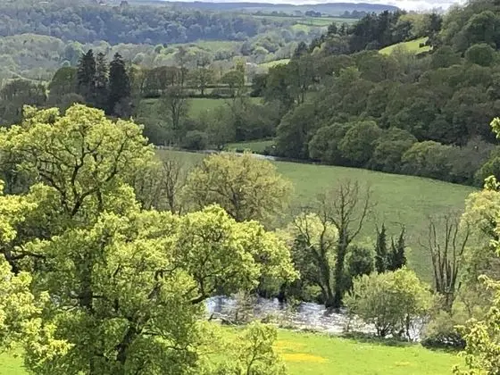 Apart Daire, 1 Yatak Odası, Veranda