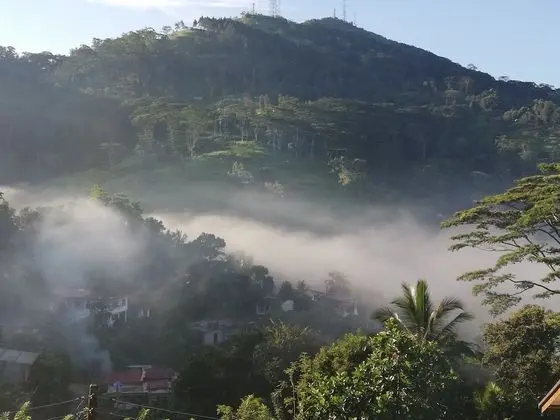 Deluxe Tek Büyük Yataklı Oda, 1 En Büyük (King) Boy Yatak, Dağ Manzaralı