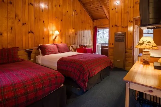 Standard Oda, Birden Çok Yatak, Sigara İçilmez (Queen & Twin Room - No Pets)