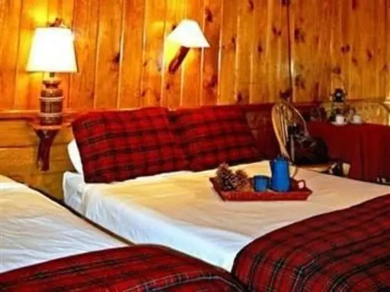 Standard Oda, Birden Çok Yatak, Sigara İçilmez (Queen & Twin Room - No Pets)