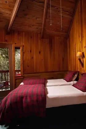 Standard Oda, Birden Çok Yatak, Sigara İçilmez (Queen & Twin Room - Pet Friendly)