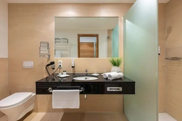 Superior Tek Büyük Yataklı Oda