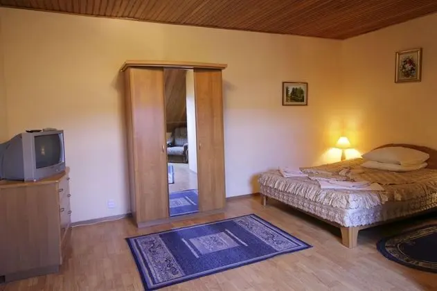 Süit