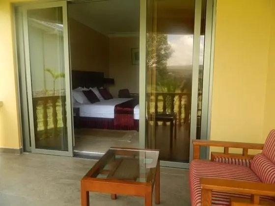 Deluxe Tek Büyük Yataklı Oda, Park Manzaralı