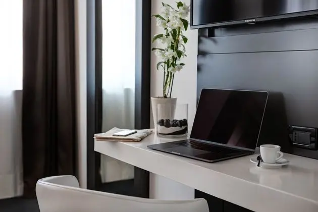 Executive Tek Büyük Yataklı Oda