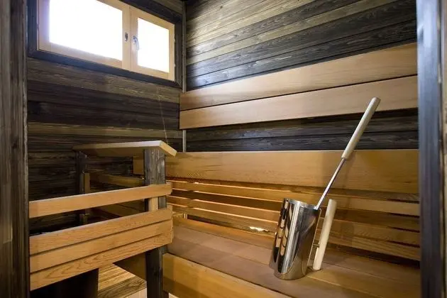 Apart Daire, 1 Yatak Odası, Sauna