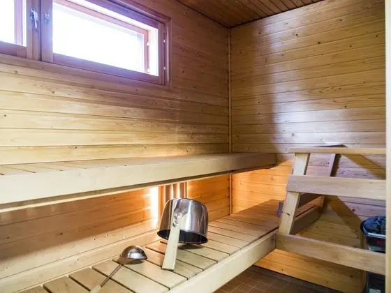 Apart Daire, 2 Yatak Odası, Sauna