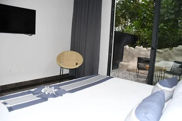 Superior Çatı Katı (Loft), 1 En Büyük (King) Boy Yatak ve Çekyat, Kişiye Özel Havuzlu, Zemin Kat