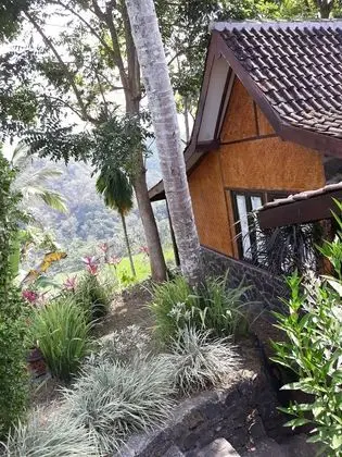 Traditional Oda, Vadi Manzaralı