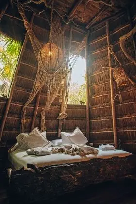 Jungle Mayan Suite
