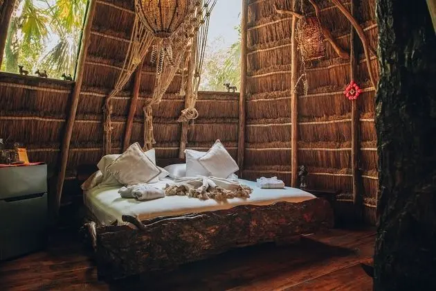 Jungle Mayan Suite