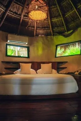 Jungle Mayan Suite