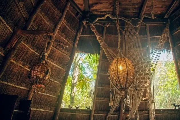 Jungle Mayan Suite