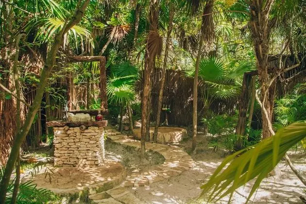 Jungle Mayan Suite