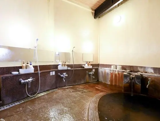 Traditional Oda, Ortak Banyo (Japanese Style, Hot Spring Street)