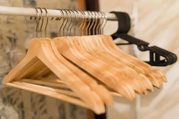 Traditional Ev (Japanese Style)