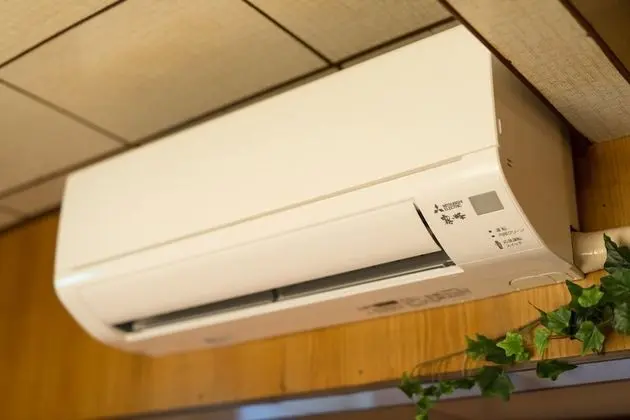 Traditional Ev (Japanese Style)