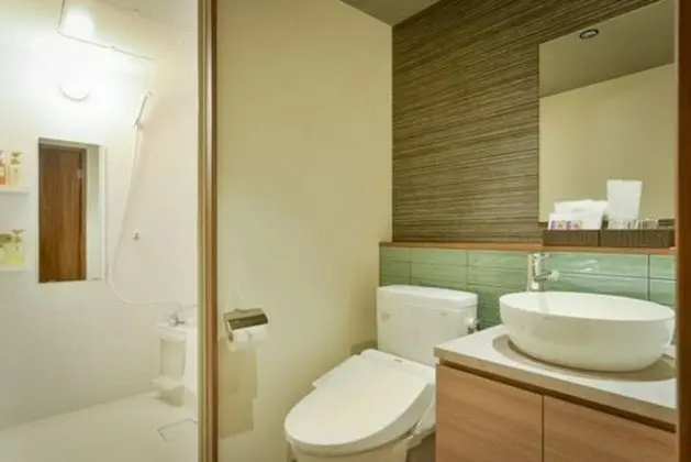Deluxe İki Ayrı Yataklı Oda, Sigara İçilmez