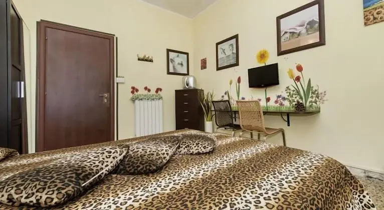 Standard Tek Büyük Yataklı Oda (Natura)