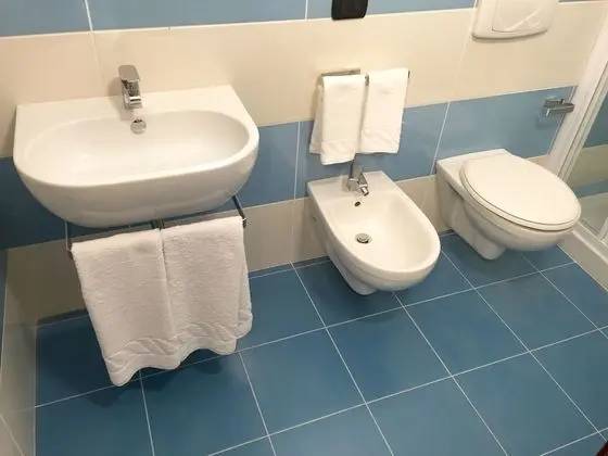 Classic Tek Büyük Yataklı Oda, Bahçe Manzaralı