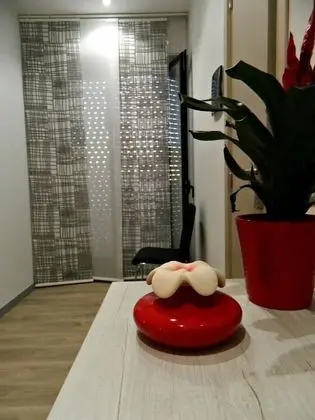 Tek Büyük Yataklı Oda (103)