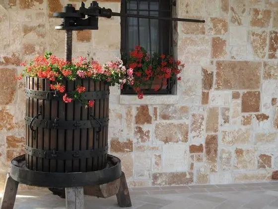 Villa, 1 Yatak Odası, Bahçe Manzaralı (Fichi)