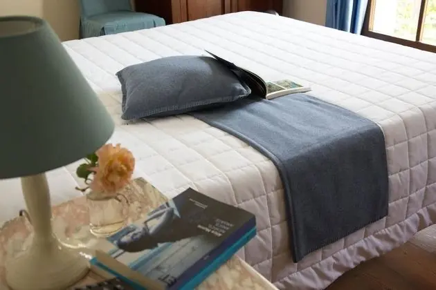 Classic Tek Büyük veya İki Ayrı Yataklı Oda, 1 Büyük (Queen) Boy Yatak, Sigara İçilmez