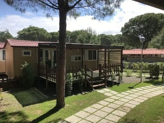 Comfort Karavan
