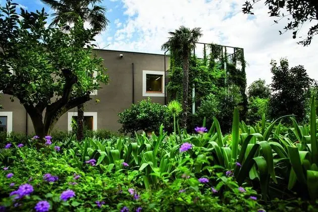 Superior Tek Büyük Yataklı Oda, Balkon