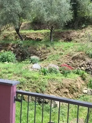 Tek Büyük Yataklı Oda, Özel Banyo (2)