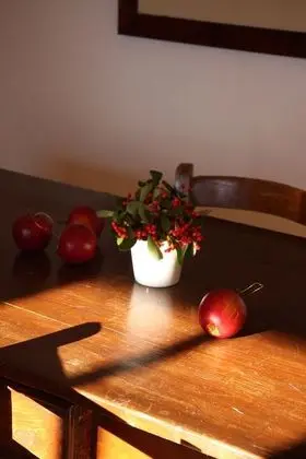 Exclusive Ev, 3 Yatak Odası, Park Manzaralı, Bahçeli (La dimora nel casale)