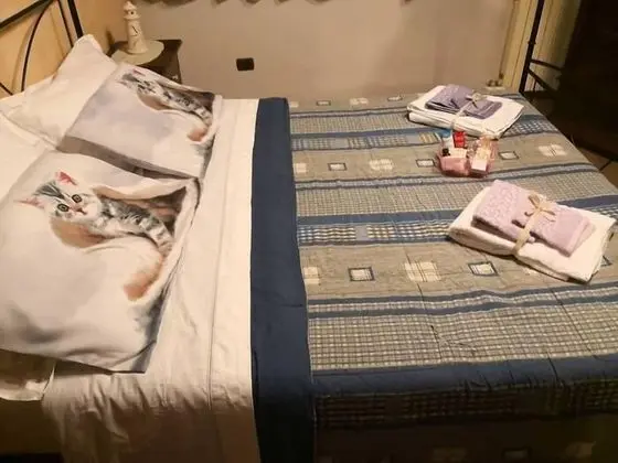 Tek Büyük Yataklı Oda, Özel Banyo