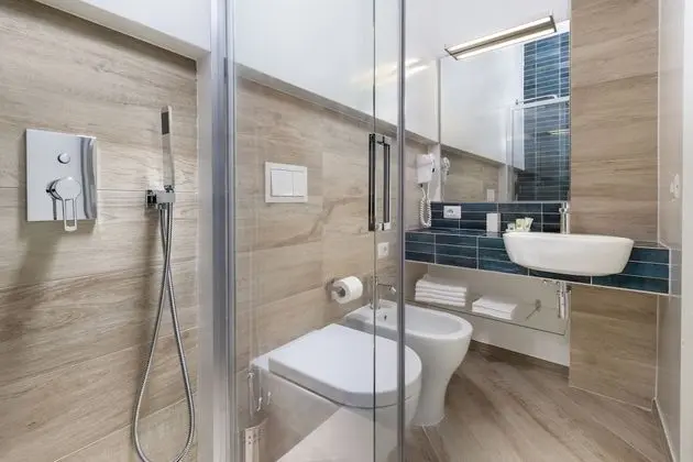 Standard Tek Büyük Yataklı Oda, Özel Banyo