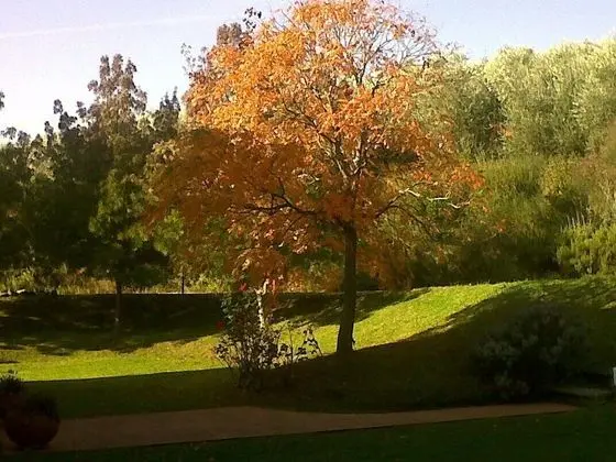 Ev, 2 Yatak Odası, Şömine