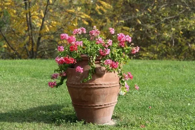 Ev, 2 Yatak Odası, Şömine