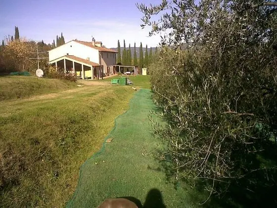 Ev, 2 Yatak Odası, Şömine