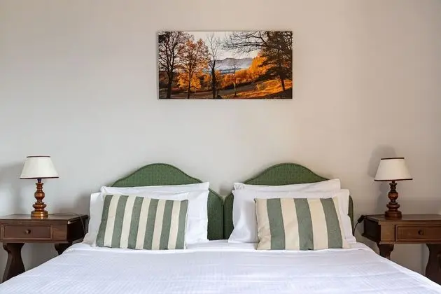 Superior Tek Büyük veya İki Ayrı Yataklı Oda, Dağ Manzaralı