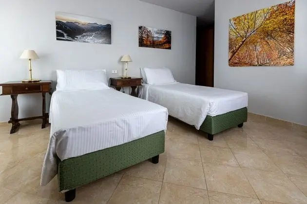 Superior Tek Büyük veya İki Ayrı Yataklı Oda, Dağ Manzaralı