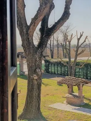 Superior Tek Büyük Yataklı Oda, Bahçe Manzaralı