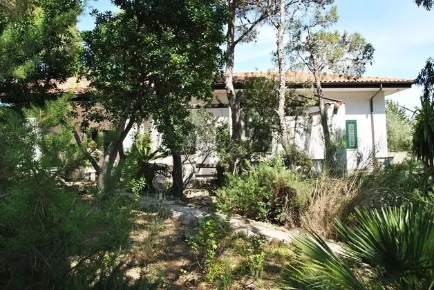 Villa, 3 Yatak Odası, Veranda
