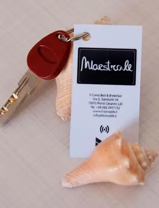 Basic Üç Kişilik Oda, 1 Yatak Odası, Balkon, Kule