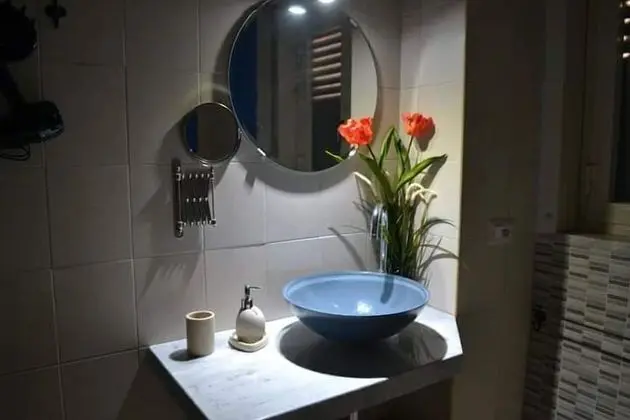 Tek Büyük Yataklı Oda, Bahçe Manzaralı, Zemin Kat