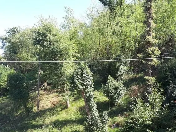 Tek Büyük Yataklı Oda, Özel Banyo