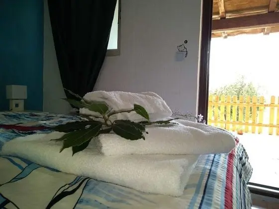 Basic Tek Büyük Yataklı Oda, 1 En Büyük (King) Boy Yatak, Engellilere Uygun, Bahçe Manzaralı